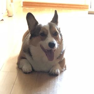 Meet your Posher, Anhliem